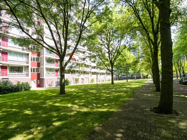 Nieuwendamlaan 116, Den Haag